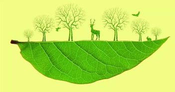 環(huán)保追責(zé) 黨政同責(zé)的時代擔(dān)當(dāng)