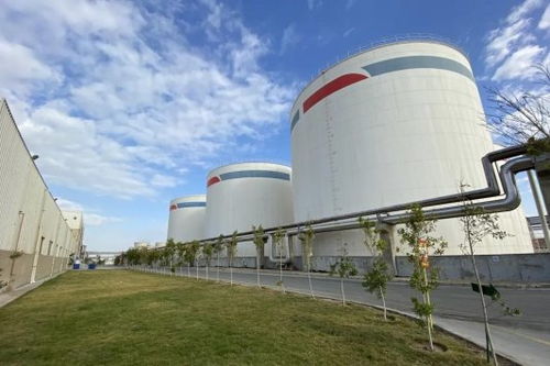 安琪酵母海外工廠 扎根當地，共筑綠色未來